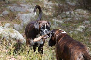 IMG_0940