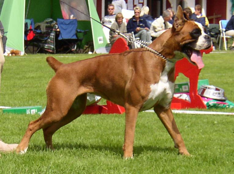 tess-de-sullieu3