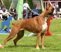tess-de-sullieu4