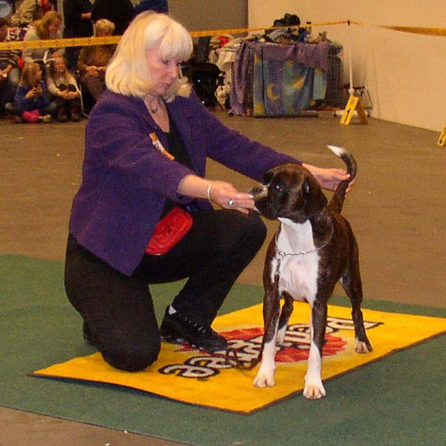 P1010068