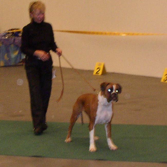 P1010081