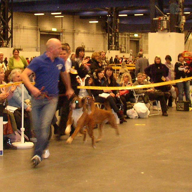 P1010093