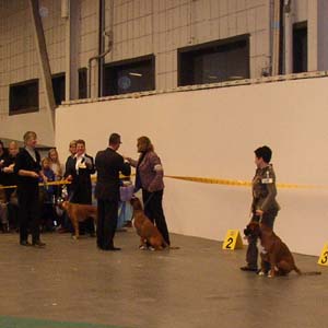 P1010091