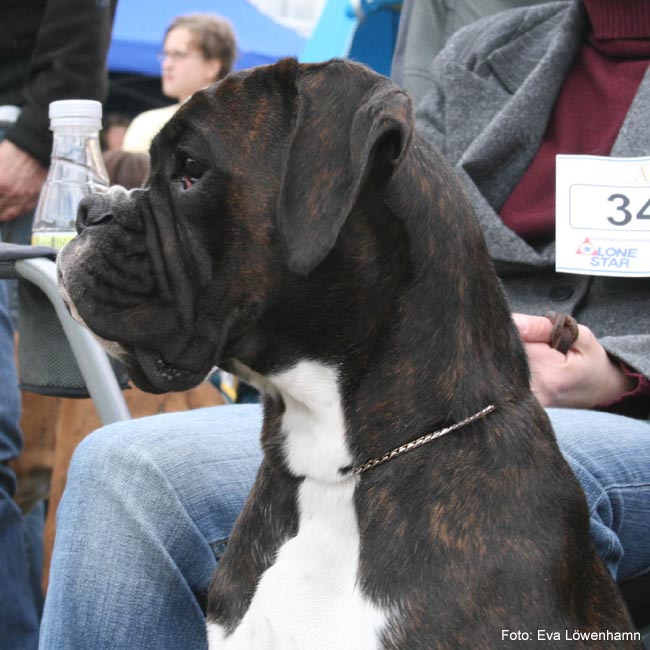 Bild 023