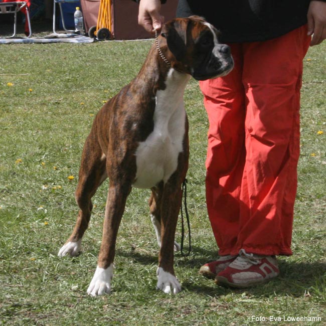 Bild 173