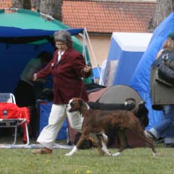 Bild 146