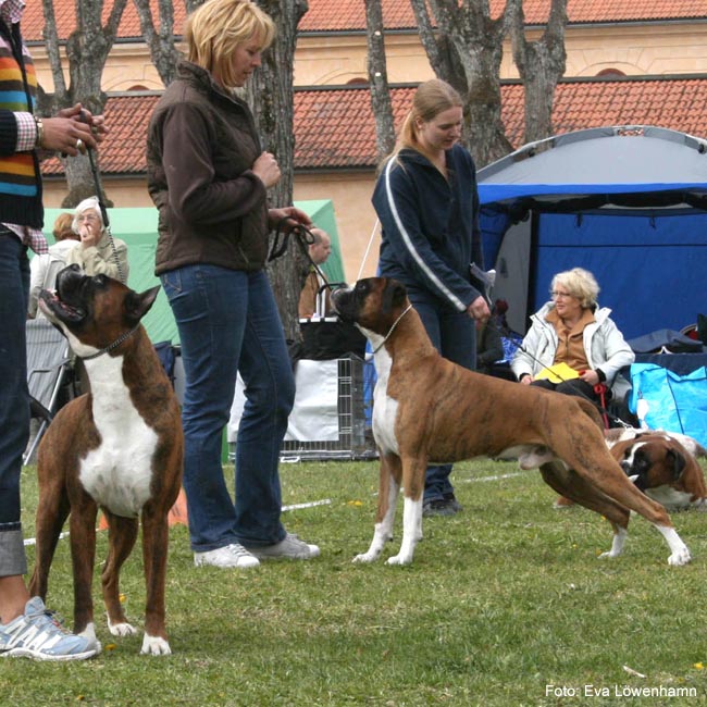 Bild 099